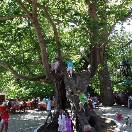 House Rodia Semesterbostad *