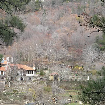 Semesterbostad House Rodia *