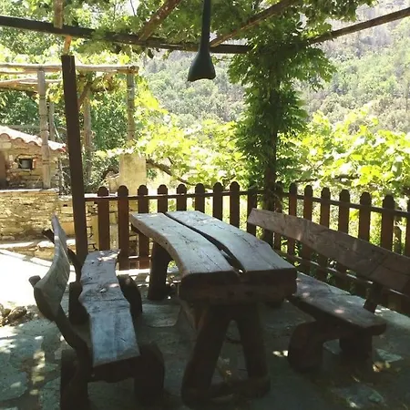 House Rodia * Prínos