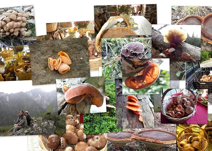 House Rodia Holiday home Prinos (Thasos)