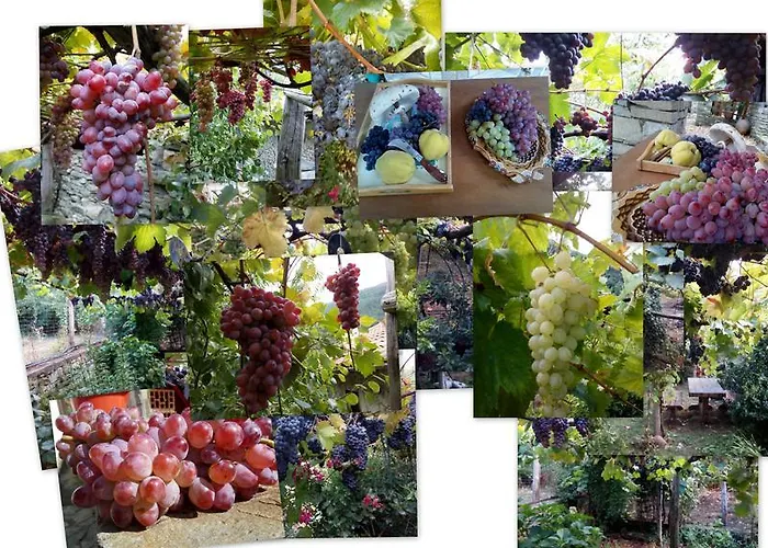 House Rodia Holiday home *