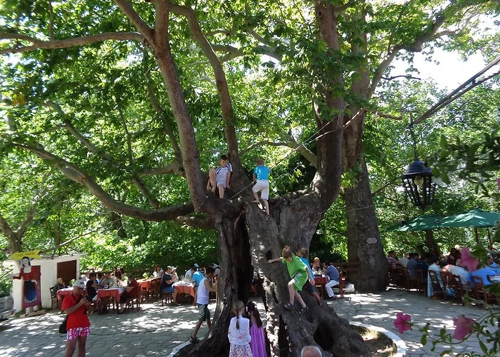 House Rodia 度假居 *