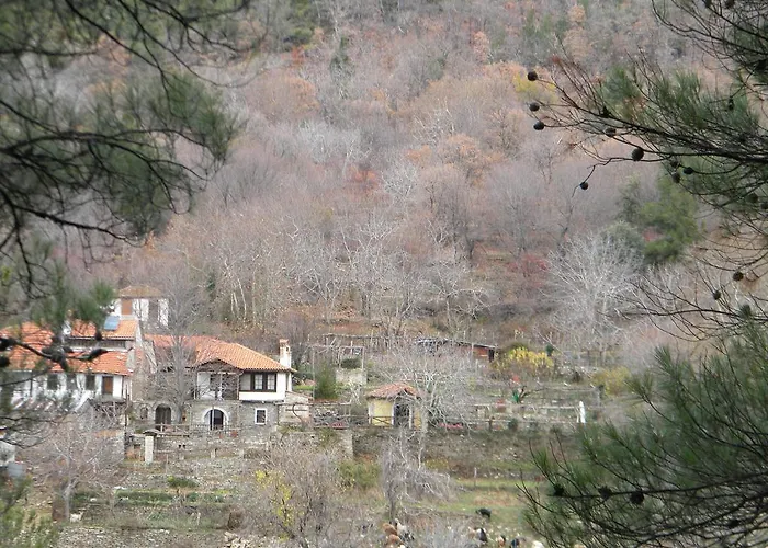 Holiday home House Rodia *